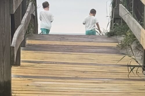 Bridge