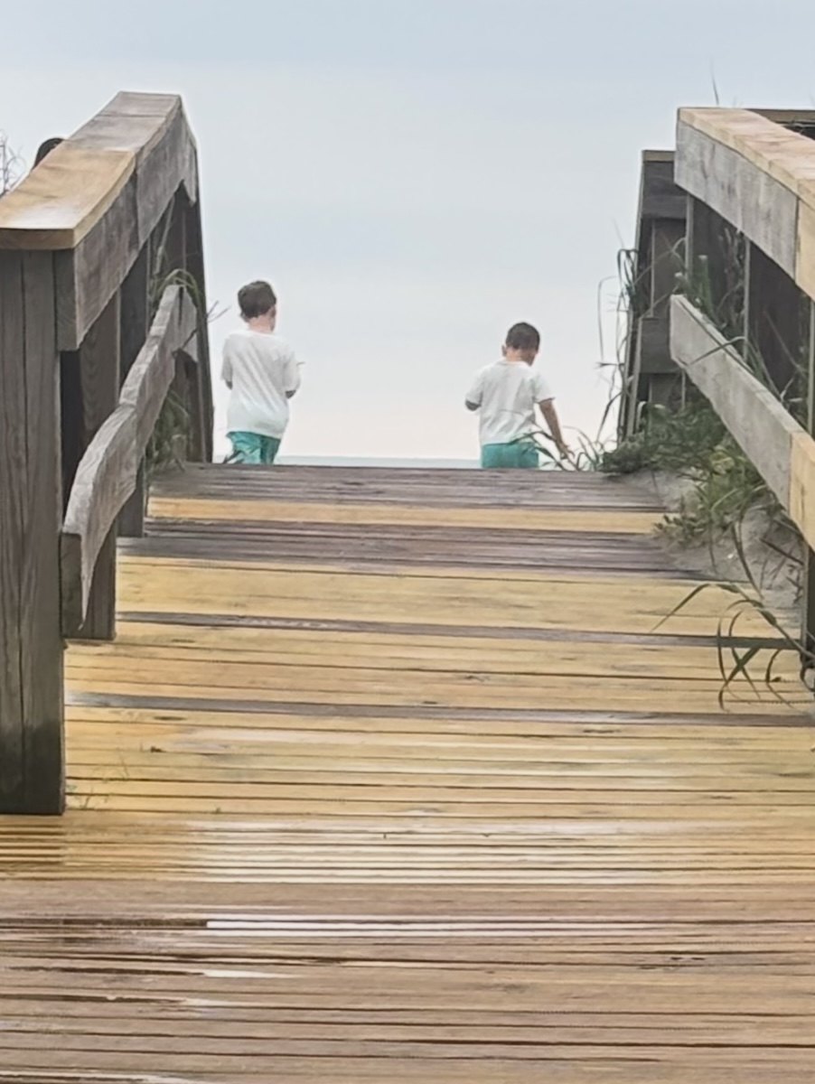 Bridge